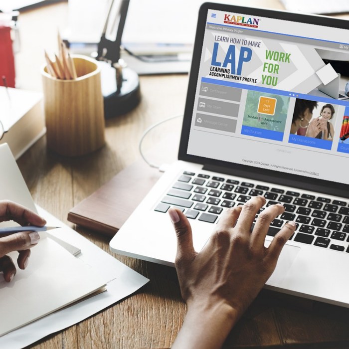 Primary Image of LAP&trade; B-K Online Training