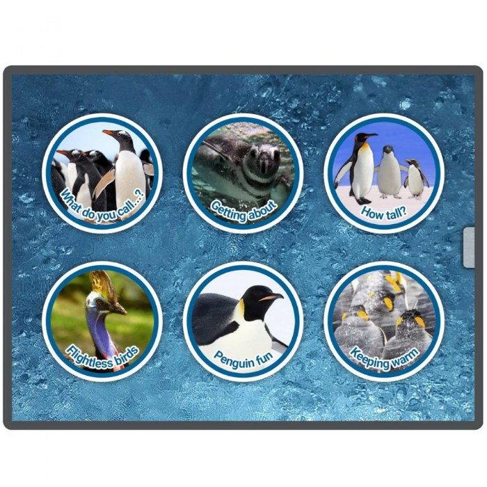 Alternate Image #1 of Pre-Coding with Penguins for Tablets