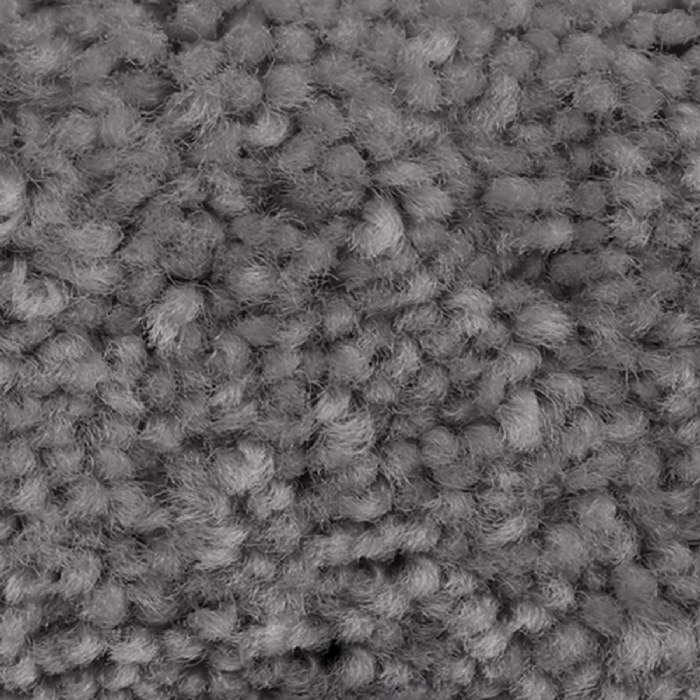 Alternate Image #1 of Nature Inspired Carpet - Ash Gray - 4' x 6' Rectangle