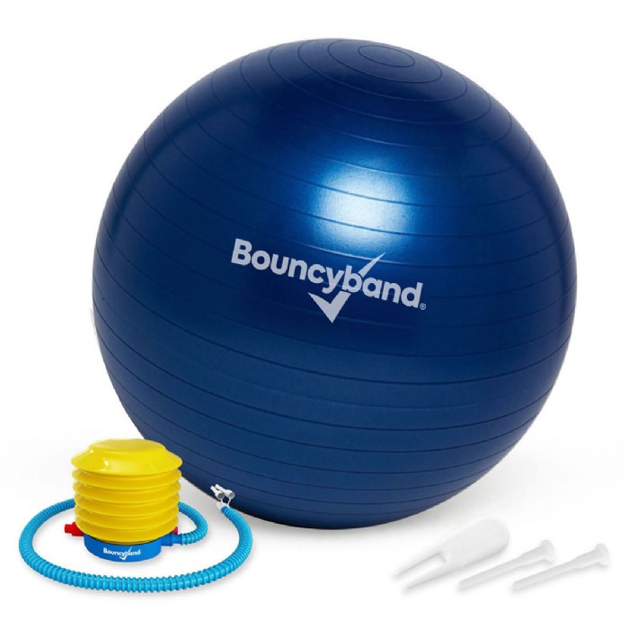 Primary Image of No Roll Balance Ball