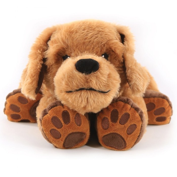 Primary Image of Theo the Therapy Dog