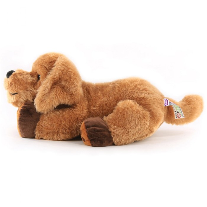 Alternate Image #1 of Theo the Therapy Dog