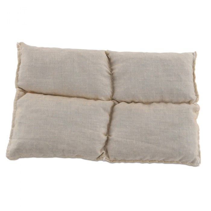 Alternate Image #1 of Theo the Therapy Dog