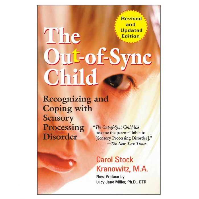 Primary Image of The Out-Of-Sync Child - Paperback