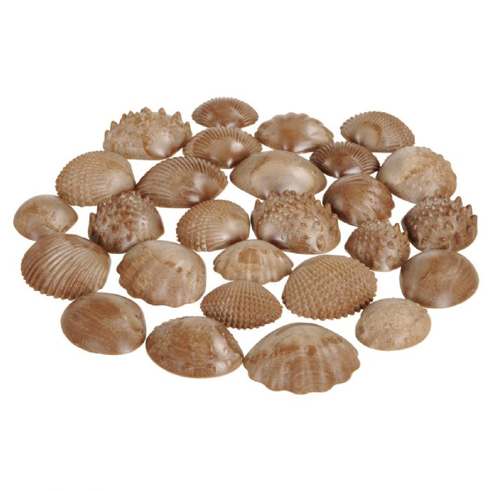 Primary Image of Tactile Shells - 36 Pieces