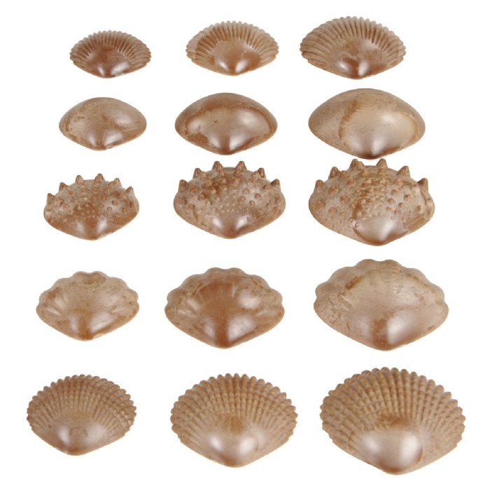 Alternate Image #1 of Tactile Shells - 36 Pieces