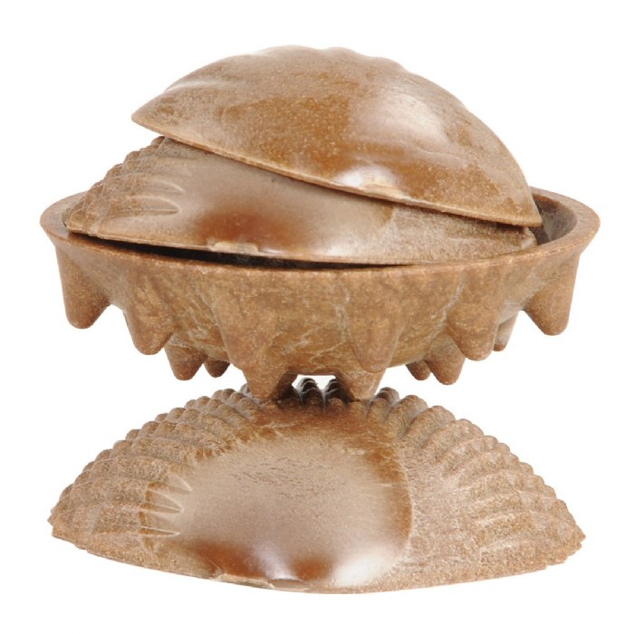 Alternate Image #1 of Tactile Shells - 36 Pieces