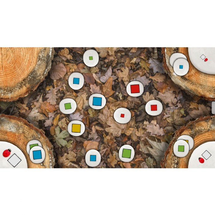 Alternate Image #1 of Sorting Stones Large Screen Software/App