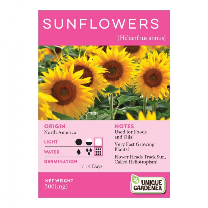 Alternate Image #1 of Growing Flowers Classroom Kit