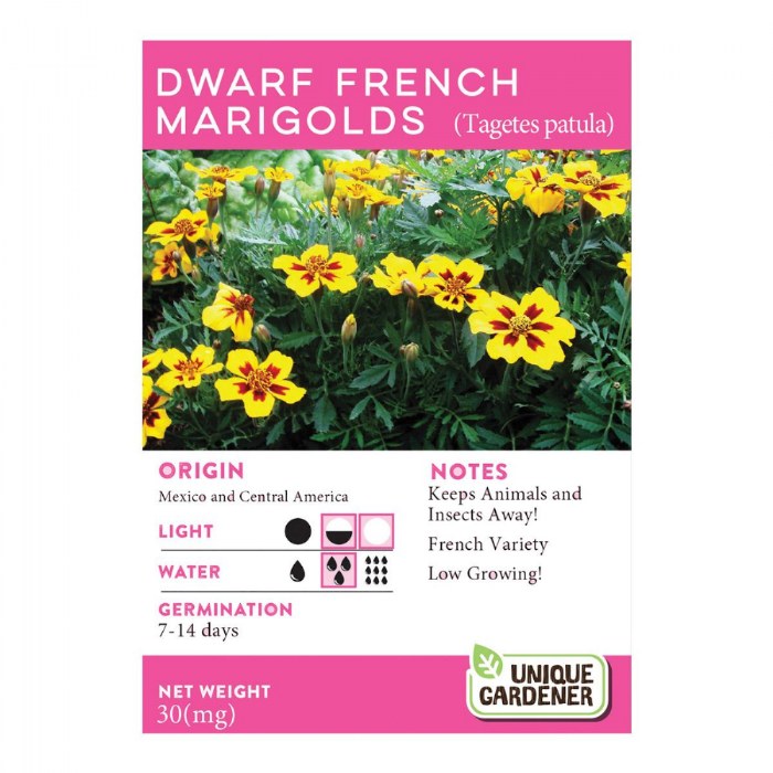 Alternate Image #1 of Growing Flowers Classroom Kit