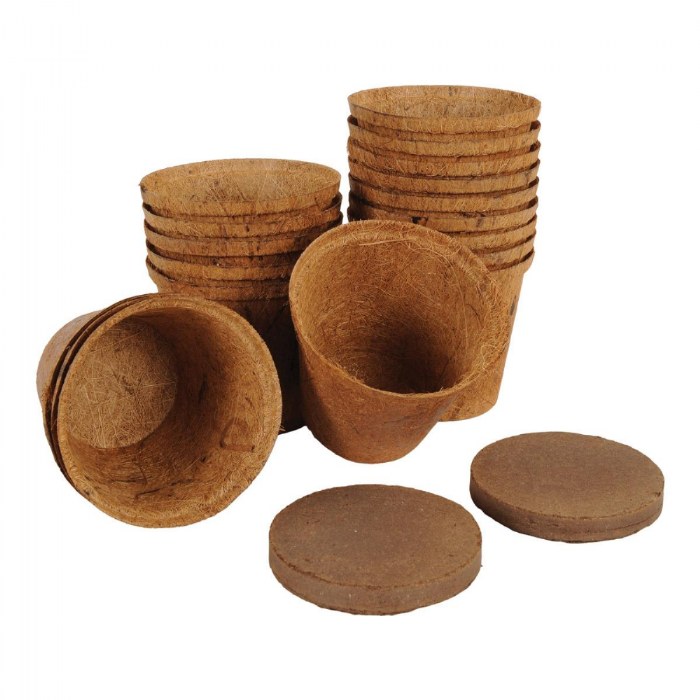 Alternate Image #1 of Growing Flowers Classroom Kit