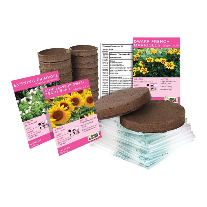 Primary Image of Growing Flowers Classroom Kit