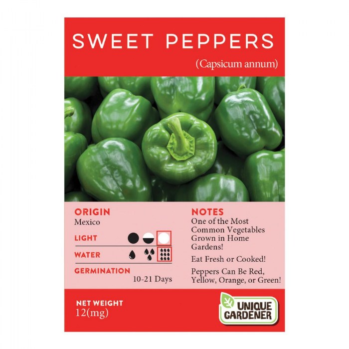 Alternate Image #1 of Growing Vegetables Classroom Kit