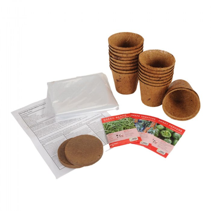 Alternate Image #1 of Growing Vegetables Classroom Kit