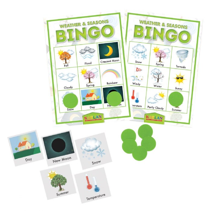 Primary Image of Kaplan Weather & Seasons Bingo Learning Game