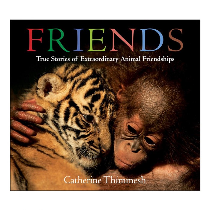 Primary Image of Friends: True Stories of Extraordinary Animal Friendships -  Board Book
