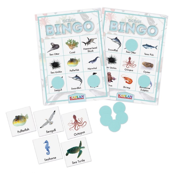 Primary Image of Kaplan Ocean Bingo Learning Game