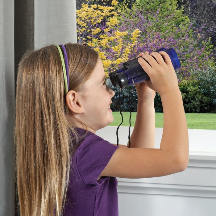 Alternate Image #1 of Play Science Starter Kit with Activity Cards