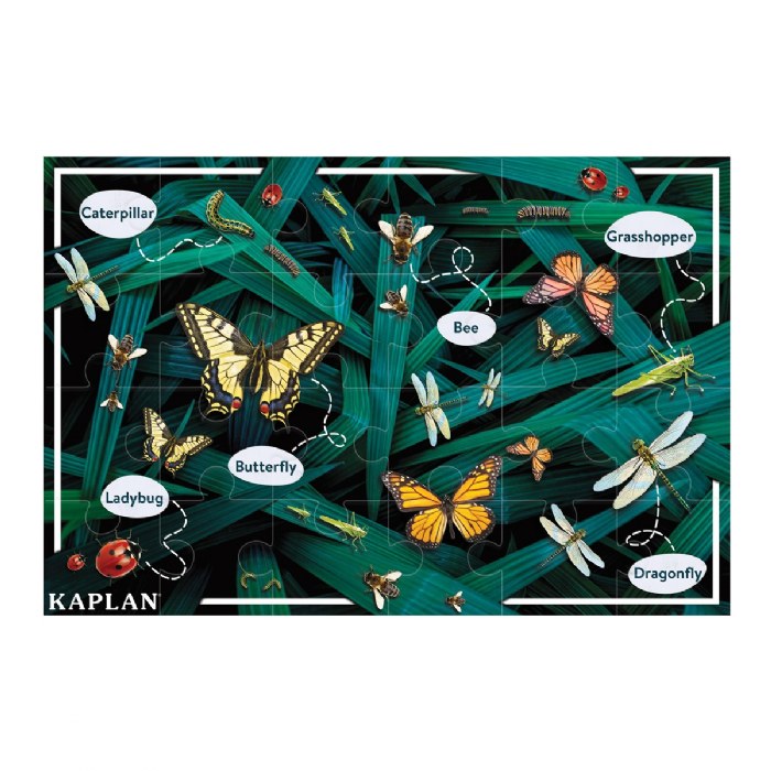 Alternate Image #1 of Discover New Places Floor Puzzles - Set of 2