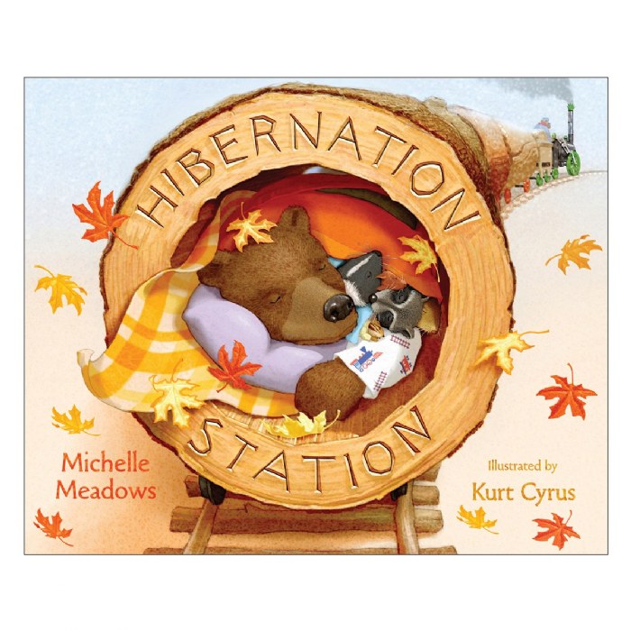 Primary Image of Hibernation Station - Hardcover
