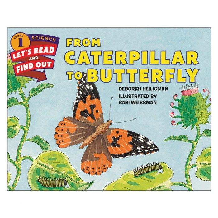 Primary Image of From Caterpillar to Butterfly - Paperback