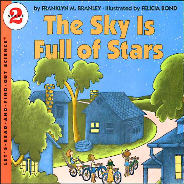 Primary Image of The Sky Is Full of Stars - Paperback