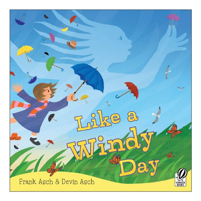 Primary Image of Like A Windy Day - Paperback