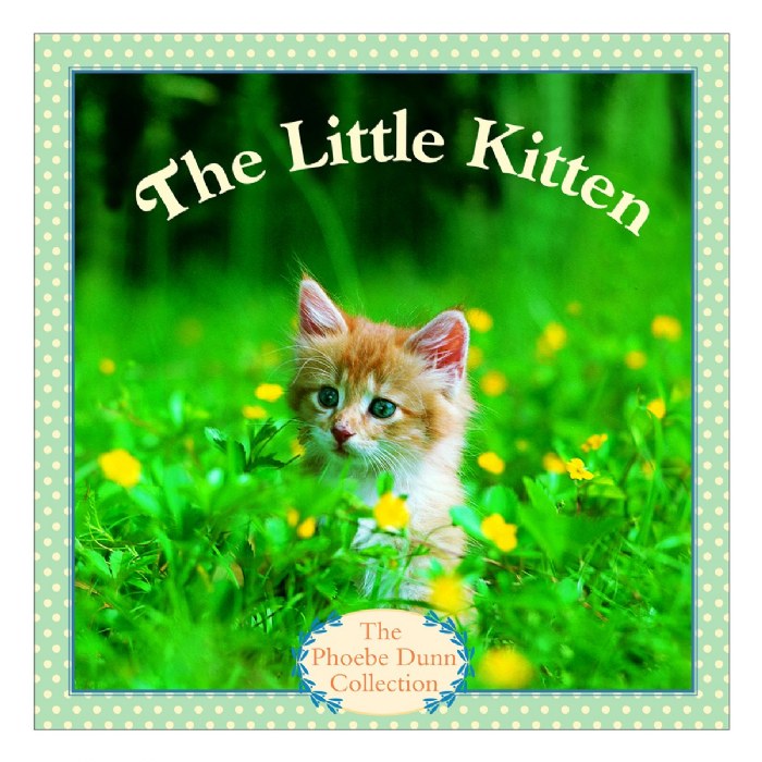 Primary Image of The Little Kitten - Paperback
