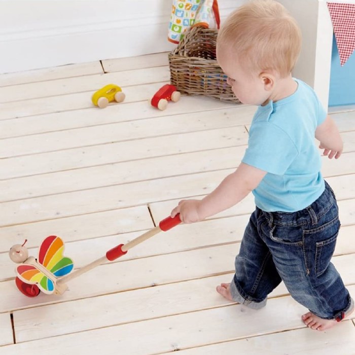 Alternate Image #1 of Whimsical Push Toys