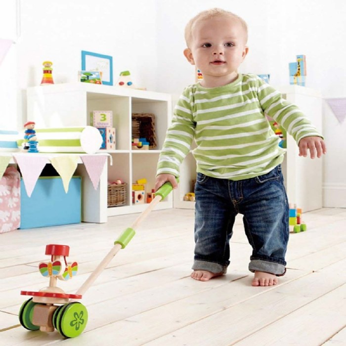 Alternate Image #1 of Whimsical Push Toys