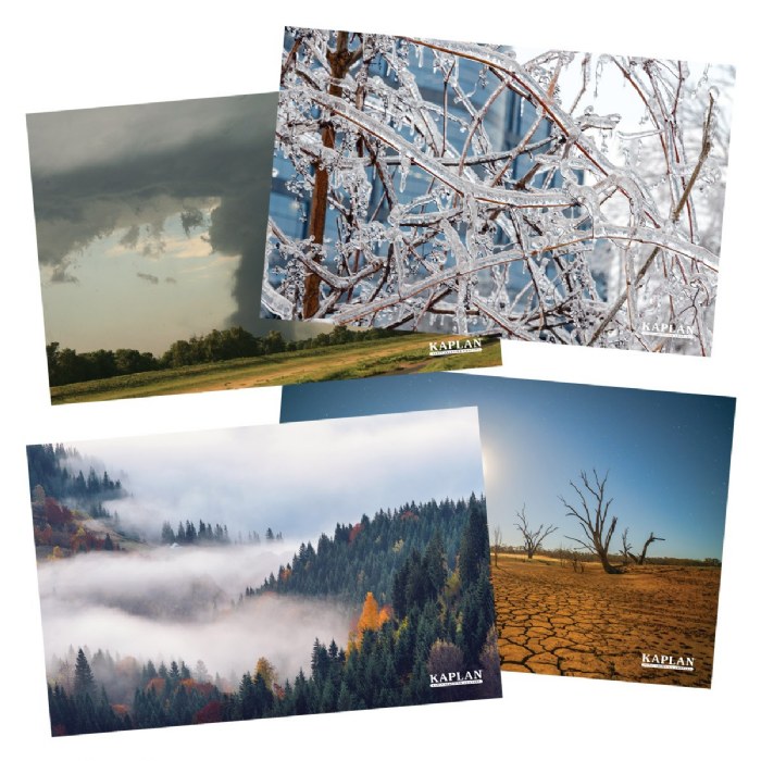 Alternate Image #1 of Weather Posters - Set of 12