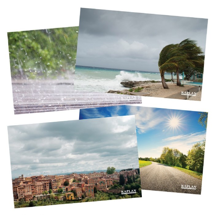 Alternate Image #1 of Weather Posters - Set of 12