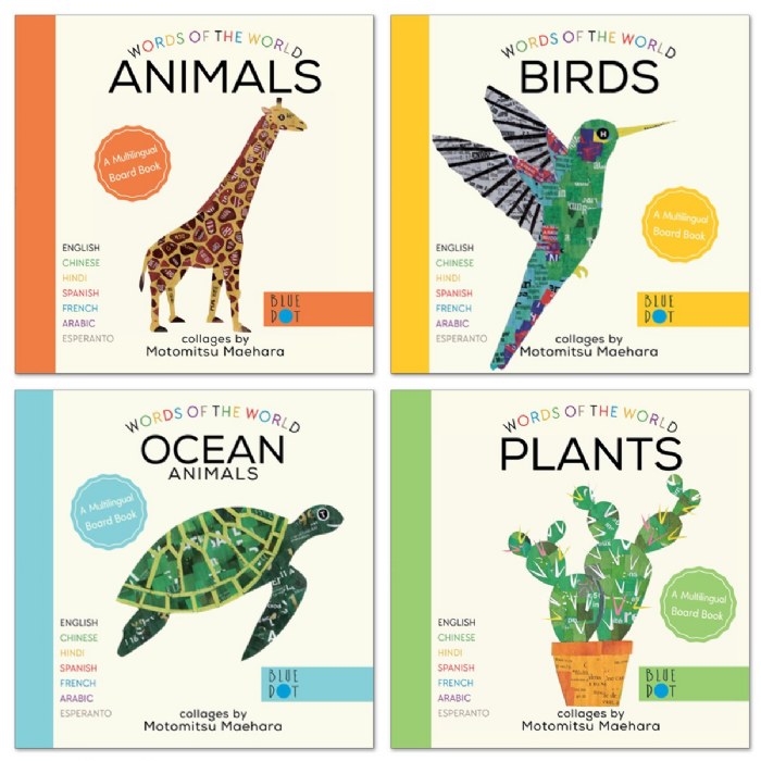 Primary Image of Words of the World Board Books - Set of 4