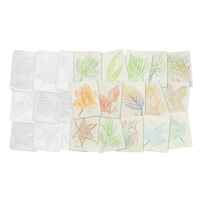 Alternate Image #1 of Leaf Rubbing Plates - Set of 16