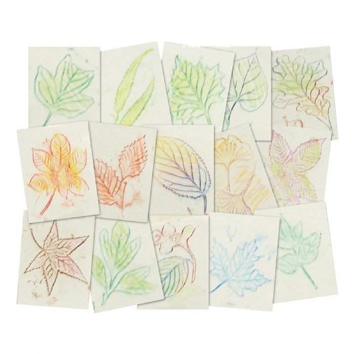Alternate Image #1 of Leaf Rubbing Plates - Set of 16