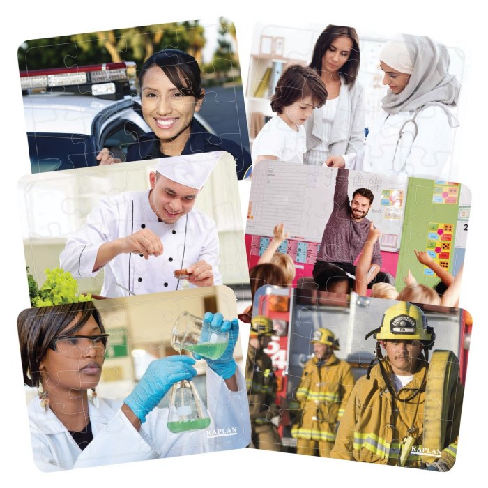 Primary Image of Career Puzzles - Set of 6
