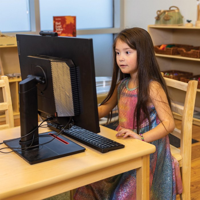 Alternate Image #1 of Shine Plus Max Desktop