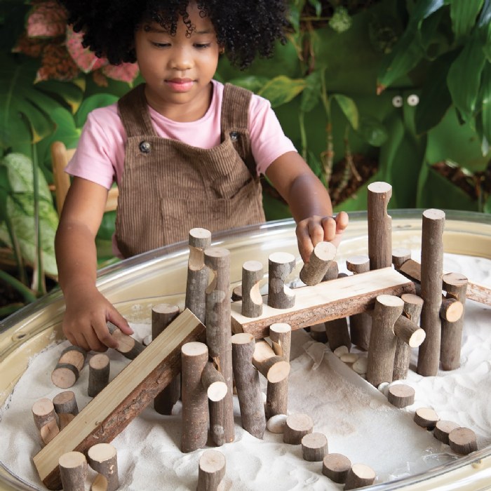 Alternate Image #1 of Big Branch Block Builders - 125 Piece Set