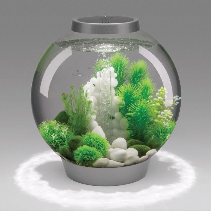 Alternate Image #1 of BiOrb 8 Gallon Aquarium - Silver