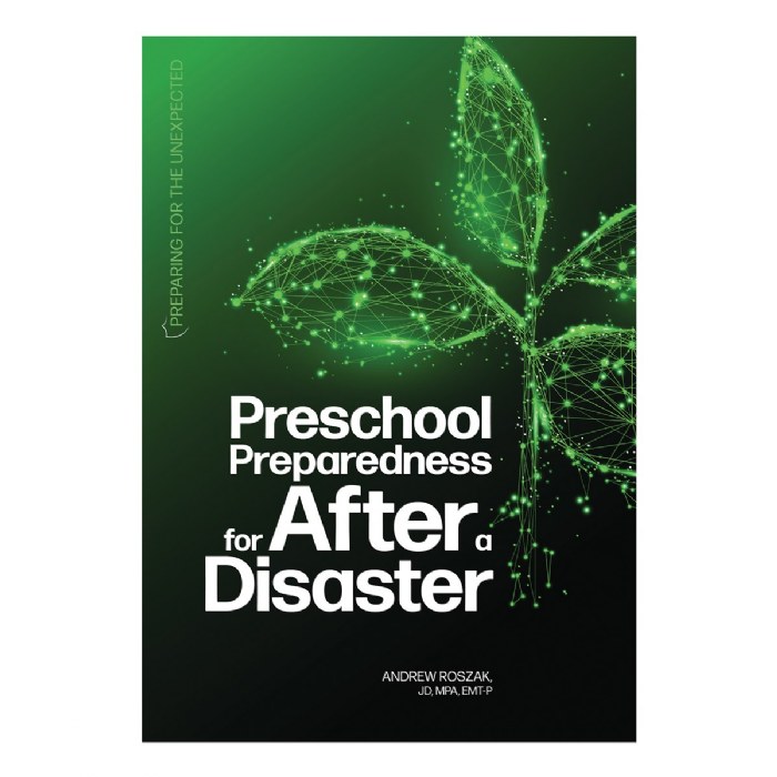 Primary Image of Preschool Preparedness for After a Disaster - Paperback