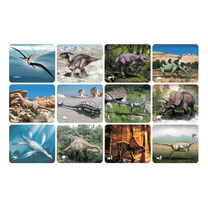 Alternate Image #1 of Dinosaur Picture Cards & X-Rays