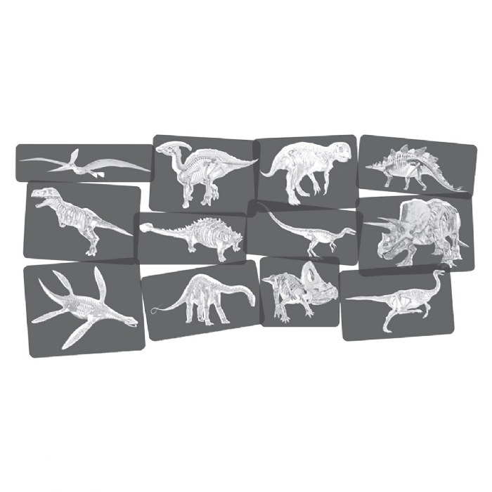 Alternate Image #1 of Dinosaur Picture Cards & X-Rays