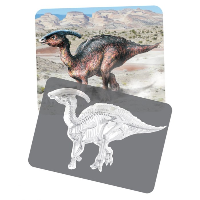 Alternate Image #1 of Dinosaur Picture Cards & X-Rays