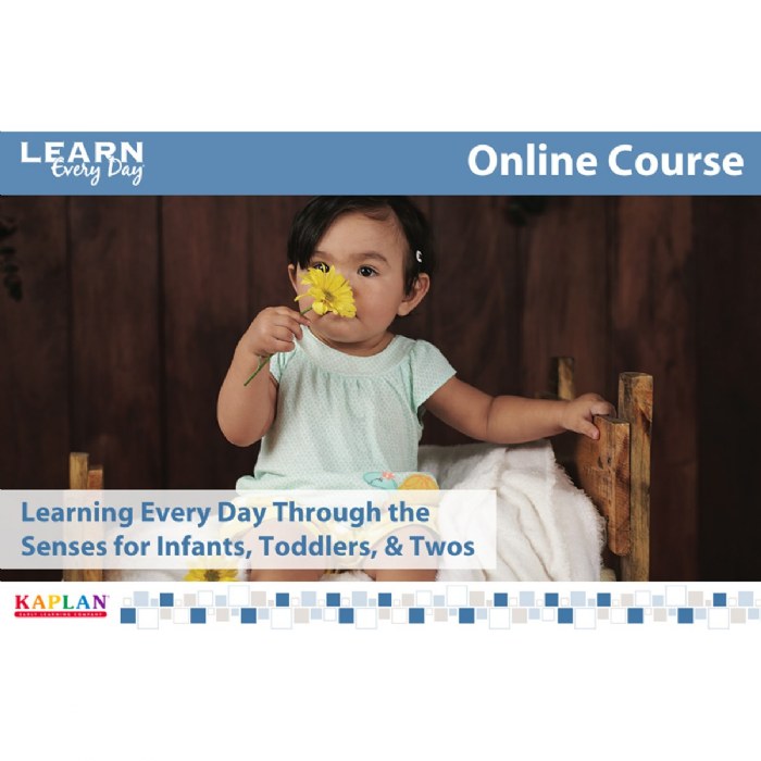 Primary Image of Learning Every Day Through the Senses for Infants, Toddlers, and Twos - Online Course