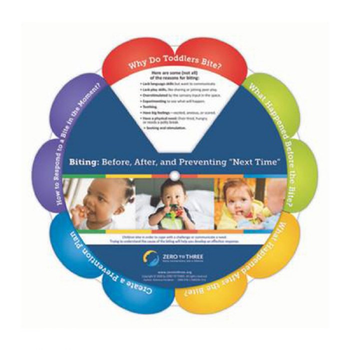 Primary Image of Biting: Before, After, and Preventing "Next Time" Wheel - Bilingual - Set of 10