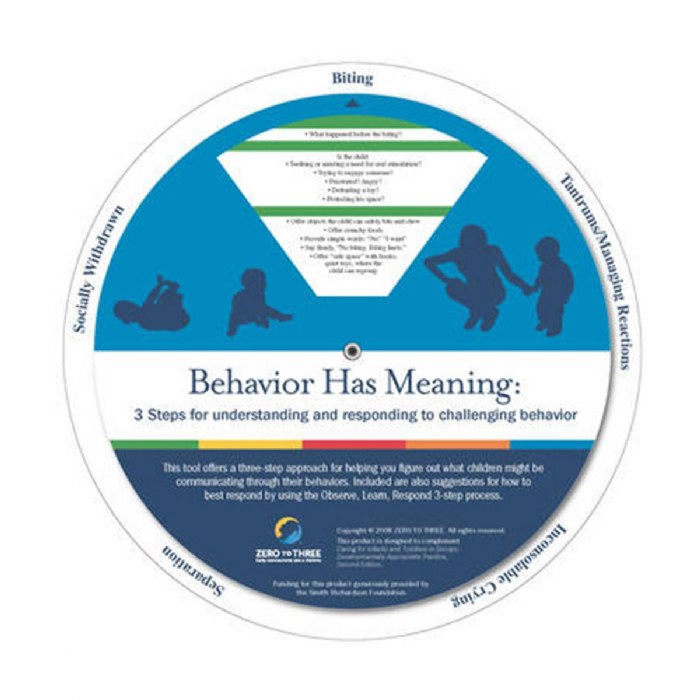 Primary Image of Behavior Has Meaning Wheel - Bilingual - Set of 10