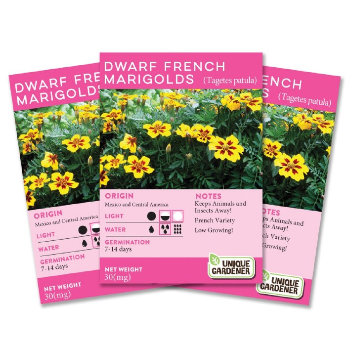 Primary Image of Dwarf French Marigold Seeds 3-Pack