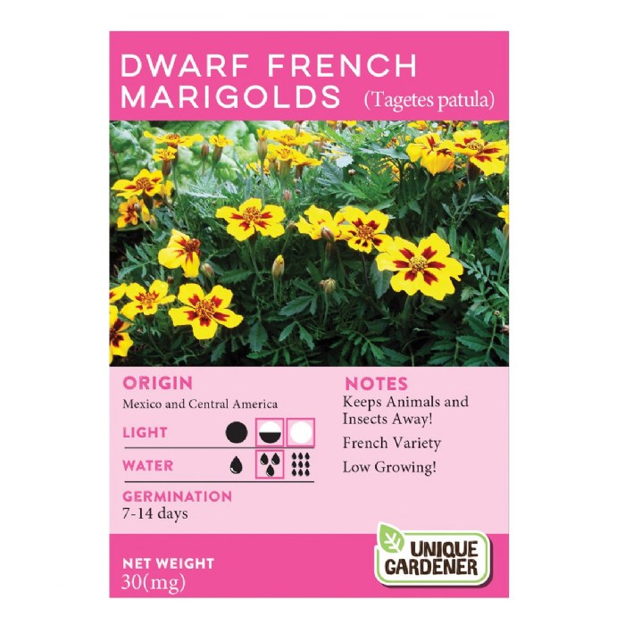 Alternate Image #1 of Dwarf French Marigold Seeds 3-Pack