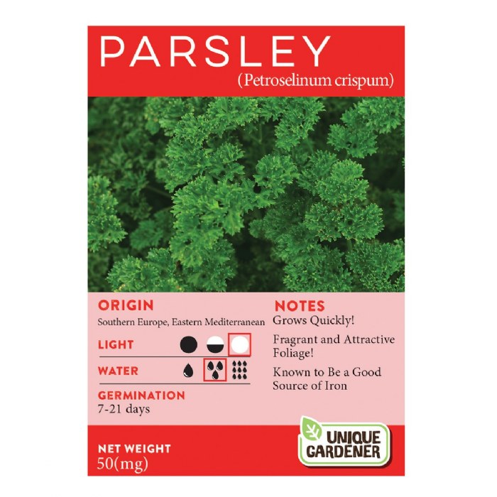 Alternate Image #1 of Parsley Seeds 3-Pack