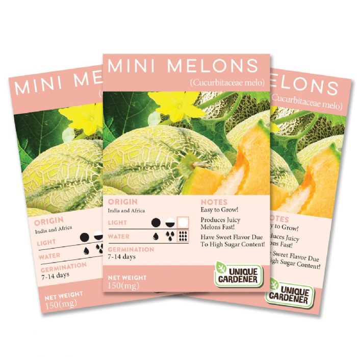 Primary Image of Cantaloupe 3-Pack